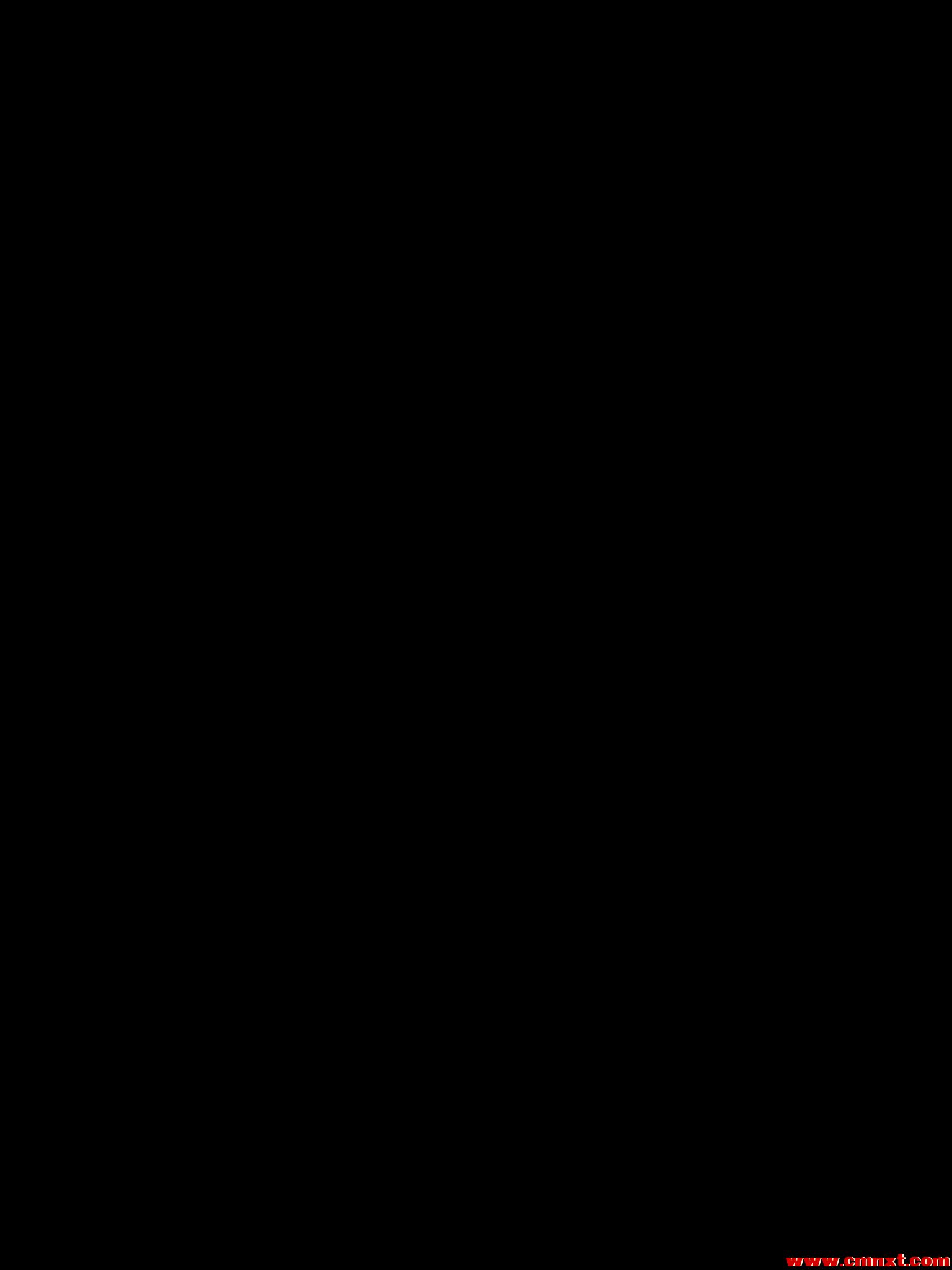 20100405553.jpg