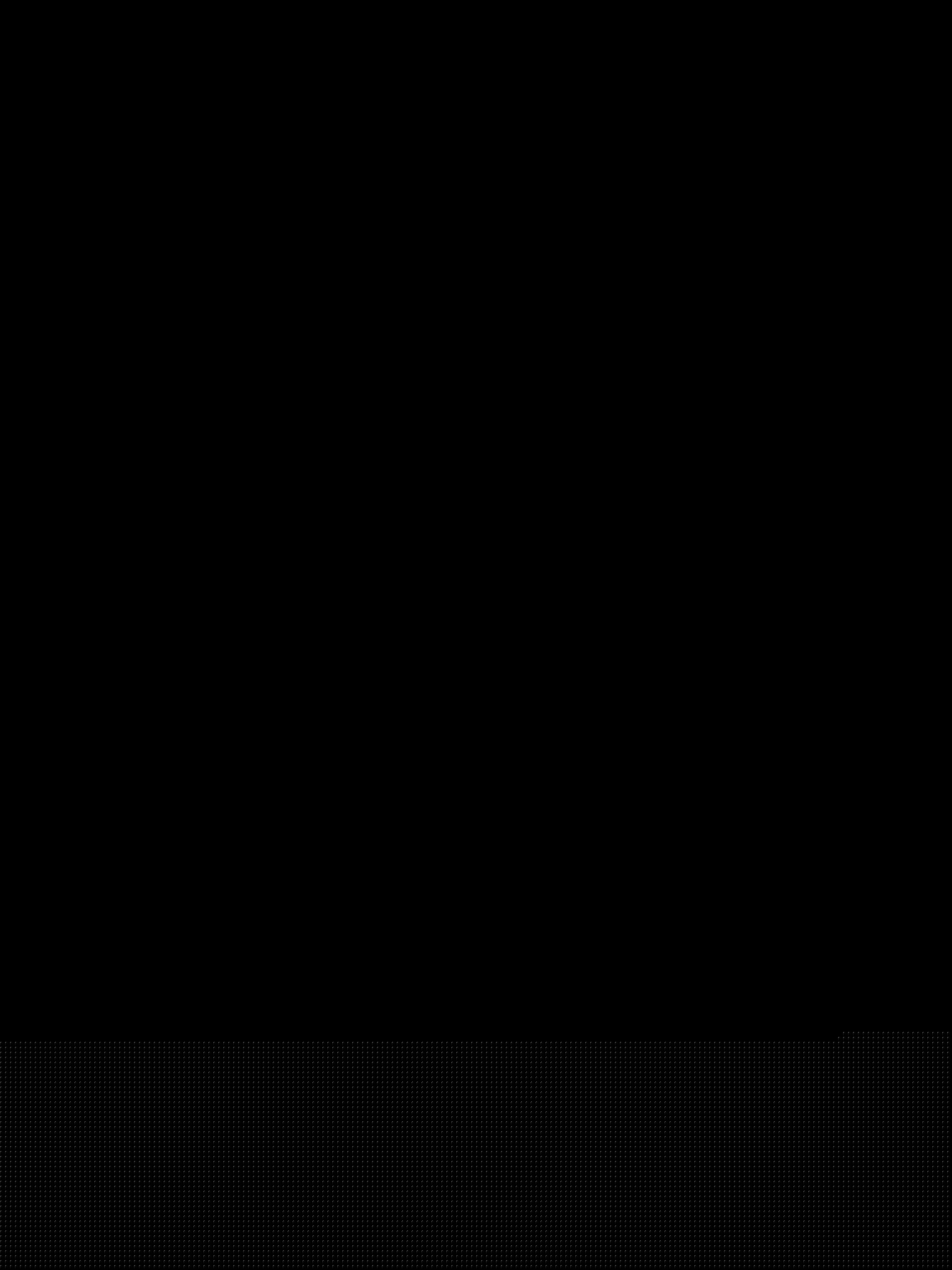 20100405554.jpg