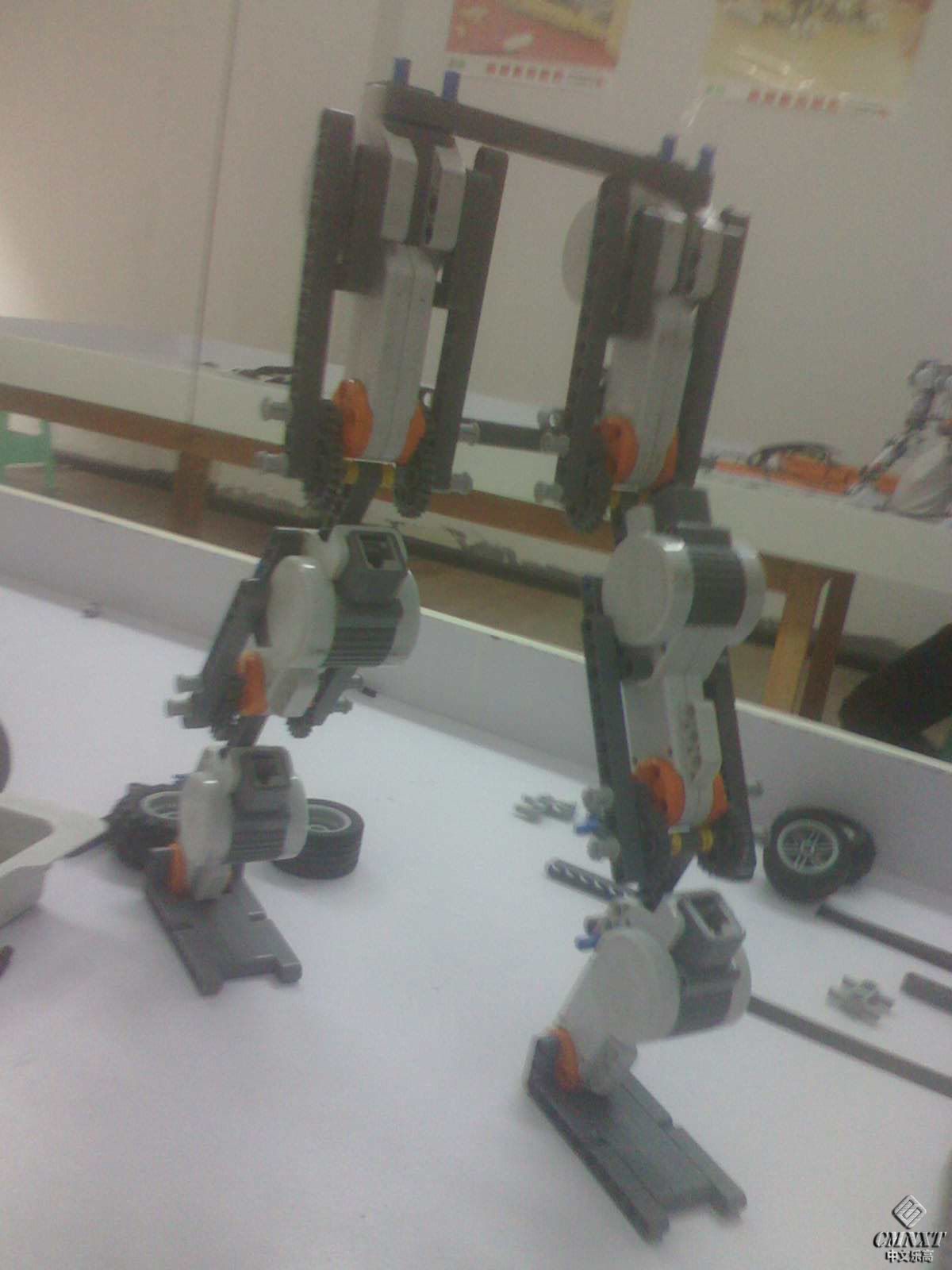 IMG1021135601.jpg