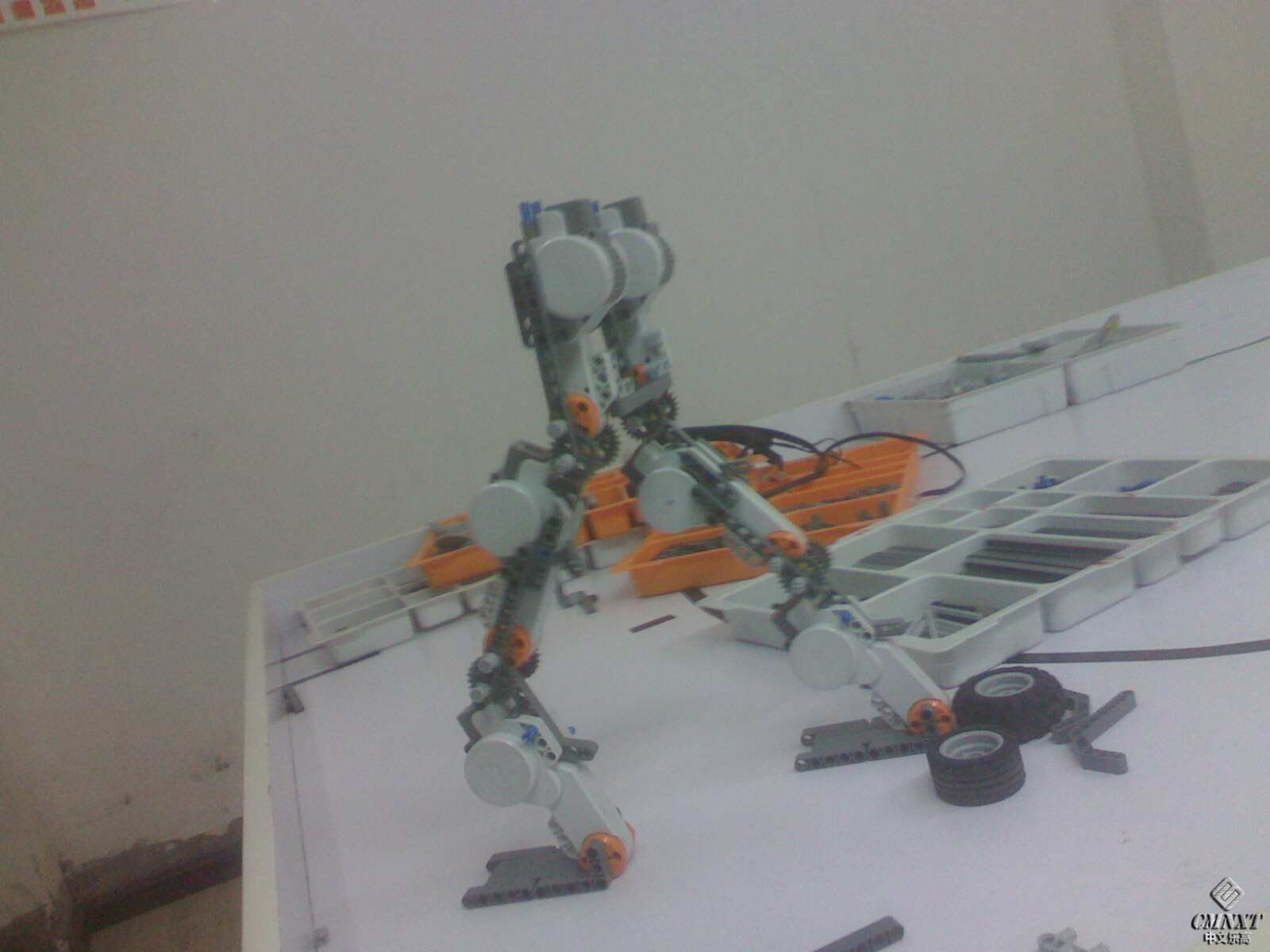 IMG1021135602.jpg