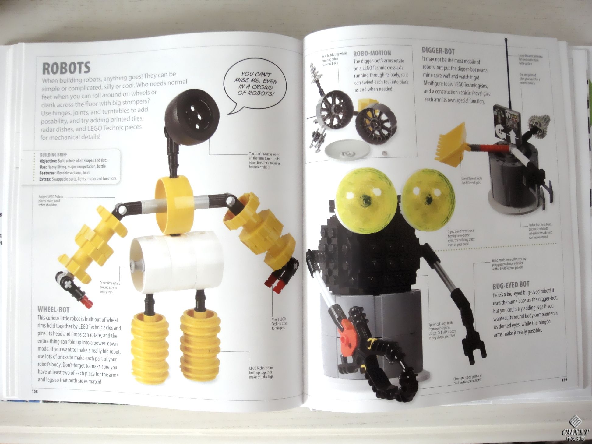 The LEGO Ideas 08.JPG
