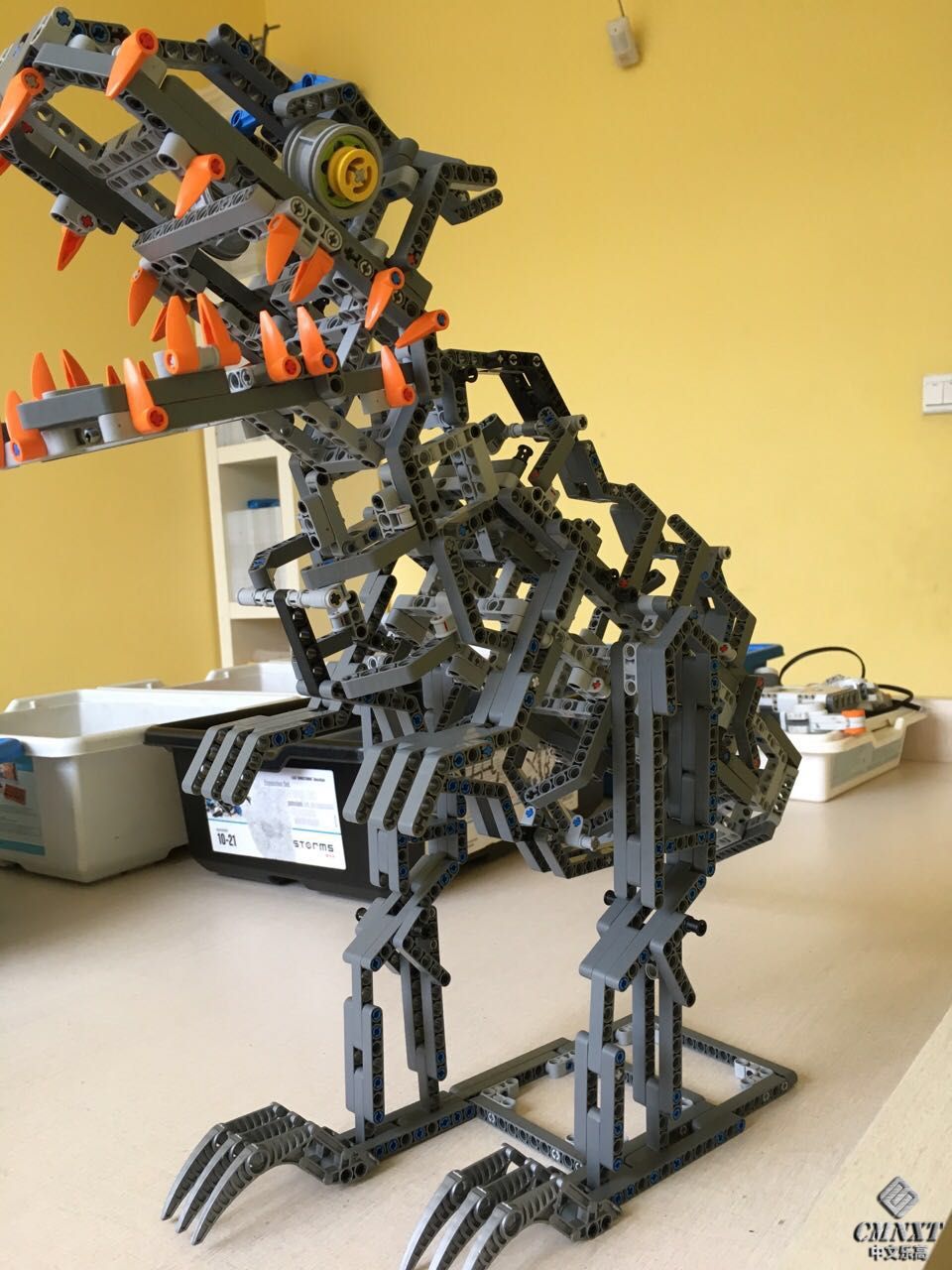797954356103476138.jpg