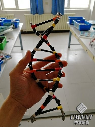 IMG_20180426_163714.jpg